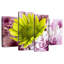Harnek - marguerite jaune-108787799