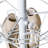 24 Pair Shoe Rack-1997053288-1911000248