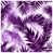 Medium Purple Light White