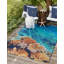 Tapis intérieur / extérieur bleu / orange Ethem-1866889471