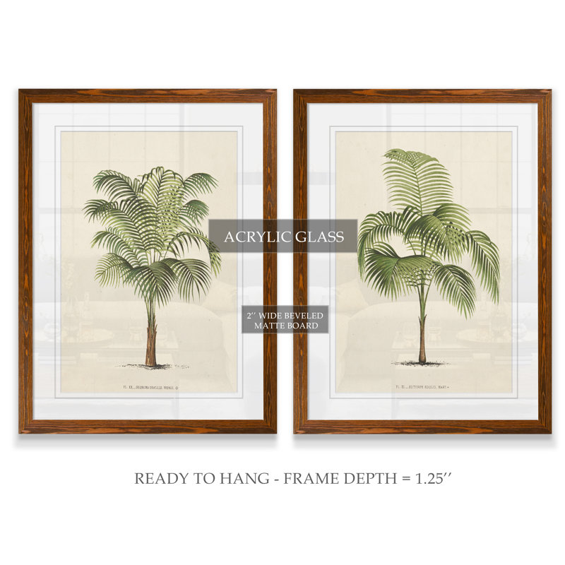" Les Palmiers I " by Vincent Van Gogh 2 - Pieces, 20" H x 16" W, Espresso, Framed Print with Mat