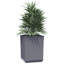 Jardinière surélevée en polypropylène 2 / 4x-900487111-900487105
