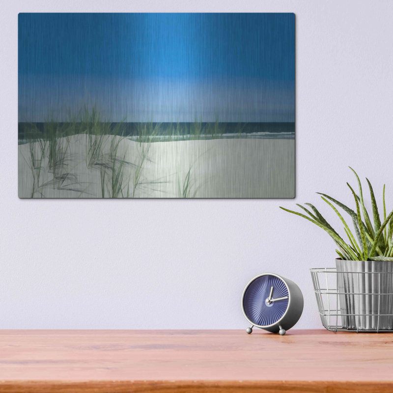 «Sunlit Coastal Dunes» par Don Schwartz, H 12 po x l 16 po