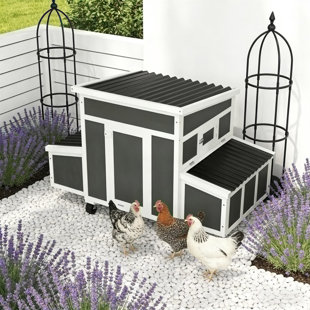 Wooden Chicken Coop