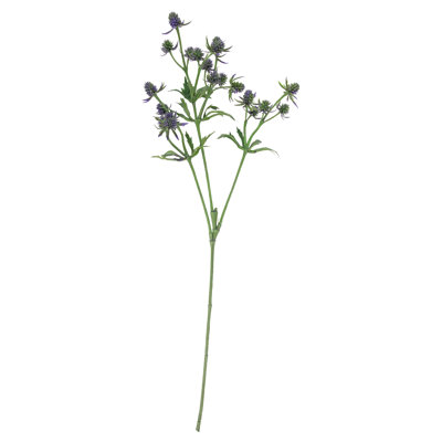 Delphinium Sprays