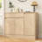 Shoe Cabinet Storage With 3 Doors, Freestanding Shoe Cabinet With Drawer & Adjustable Shelves, Wooden Shoe Organizer For Entryway, Hallway-298525531