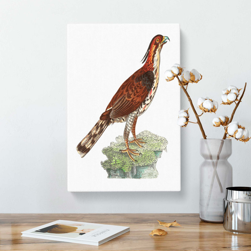 Falcon by George Shaw - Wrapped Canvas, 50cm H x 35cm W x 3cm D