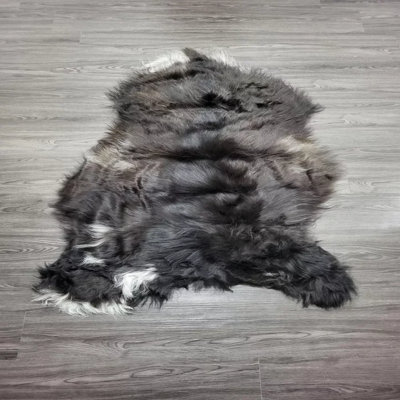 Tapis Novelty Shivin