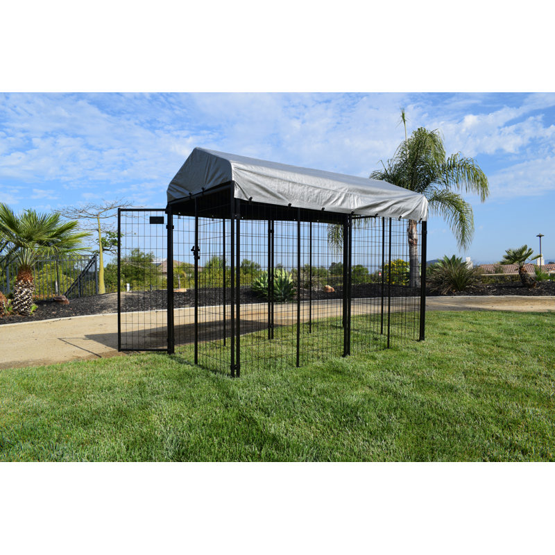 Tucson Black Powder Coat 6 ft. Welded Wire Dog Kennel