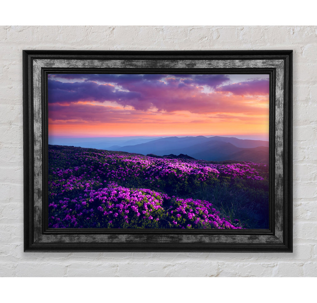 Purple Meadow Mountains - Einzelne Bilderrahmen Kunstdrucke