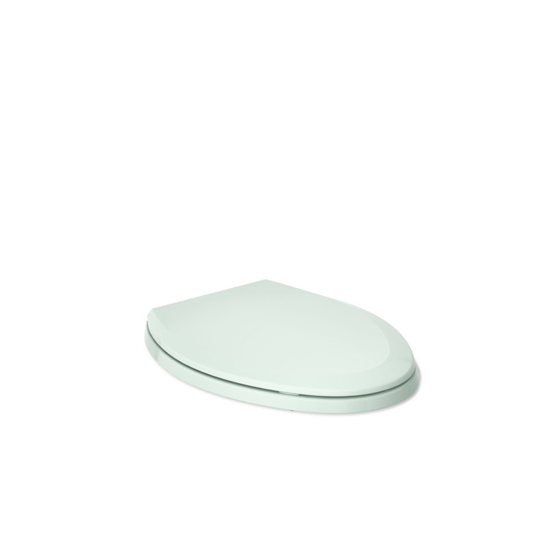 Lustra with Quick-Release Hinges Toilet Seat, Seafoam Green, Elongated