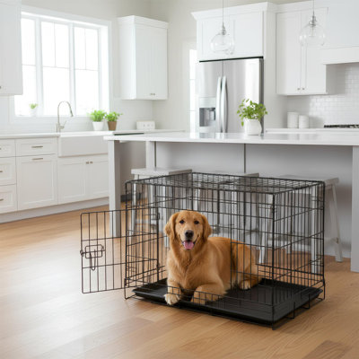 Metal Collapsible Pet Crate with 1 Door