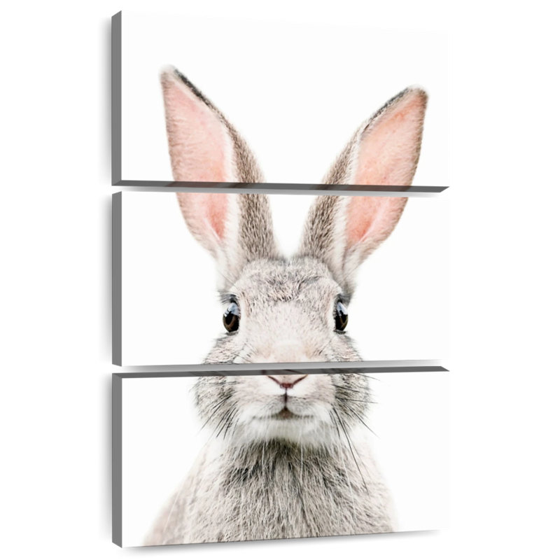 Visage de lapin Brampt, H 45 po x l 28 po