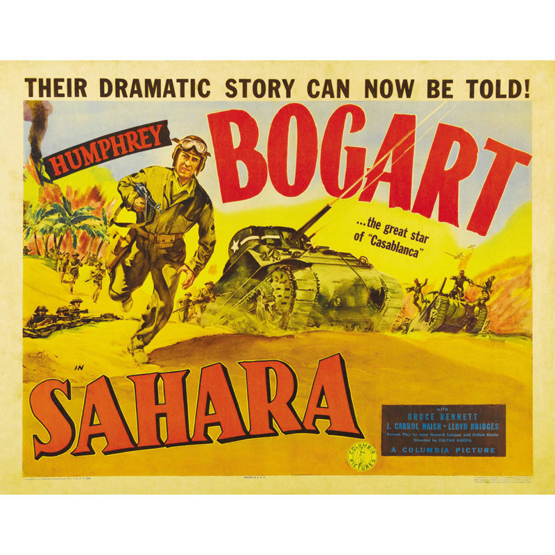 Sahara, H 19 po x l 24 po