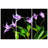 "Violete Belle" Frameless Free-Floating Reverse Printed Tempered Art Glass Panels Set