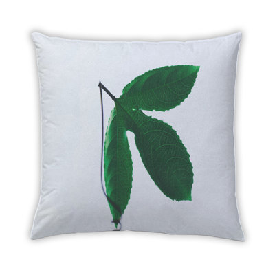 Colour Focus Green 32 Throw Pillow
