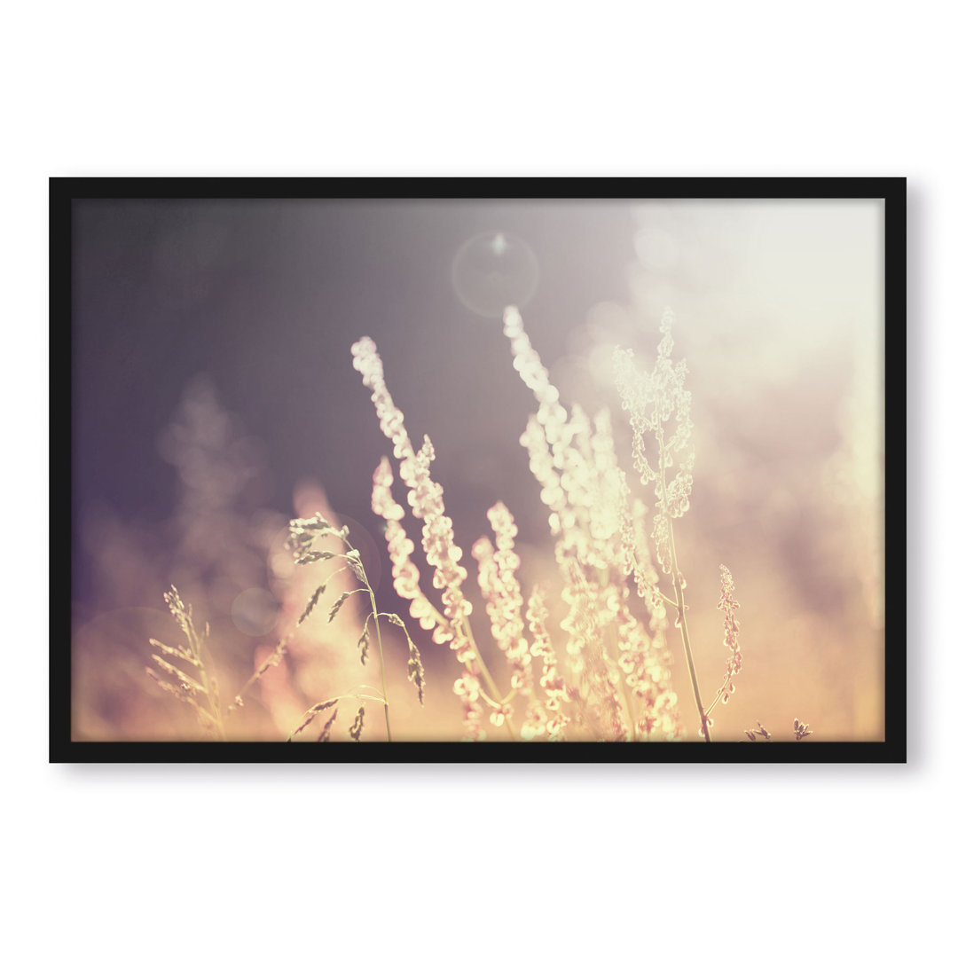 Gerahmtes Poster Grasses at Twilight