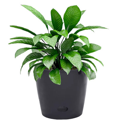 Bamboo Blooms 7" Round Sage Green Self-Watering Indoor/Outdoor Bamboo Pot Oddie
