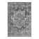 Oriental Indoor Rug