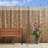 6 ft H x 16 ft W Coffee Reed Fencing Decorative Screen Fence Panel