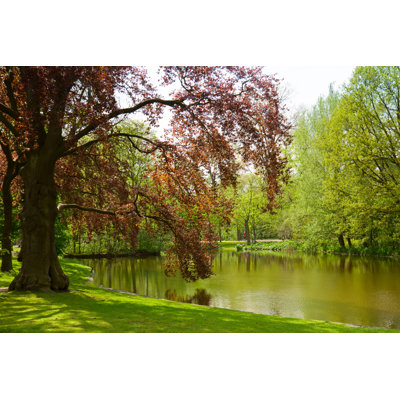Vondelpark - Wrapped Canvas Print