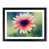 Black Framed selected