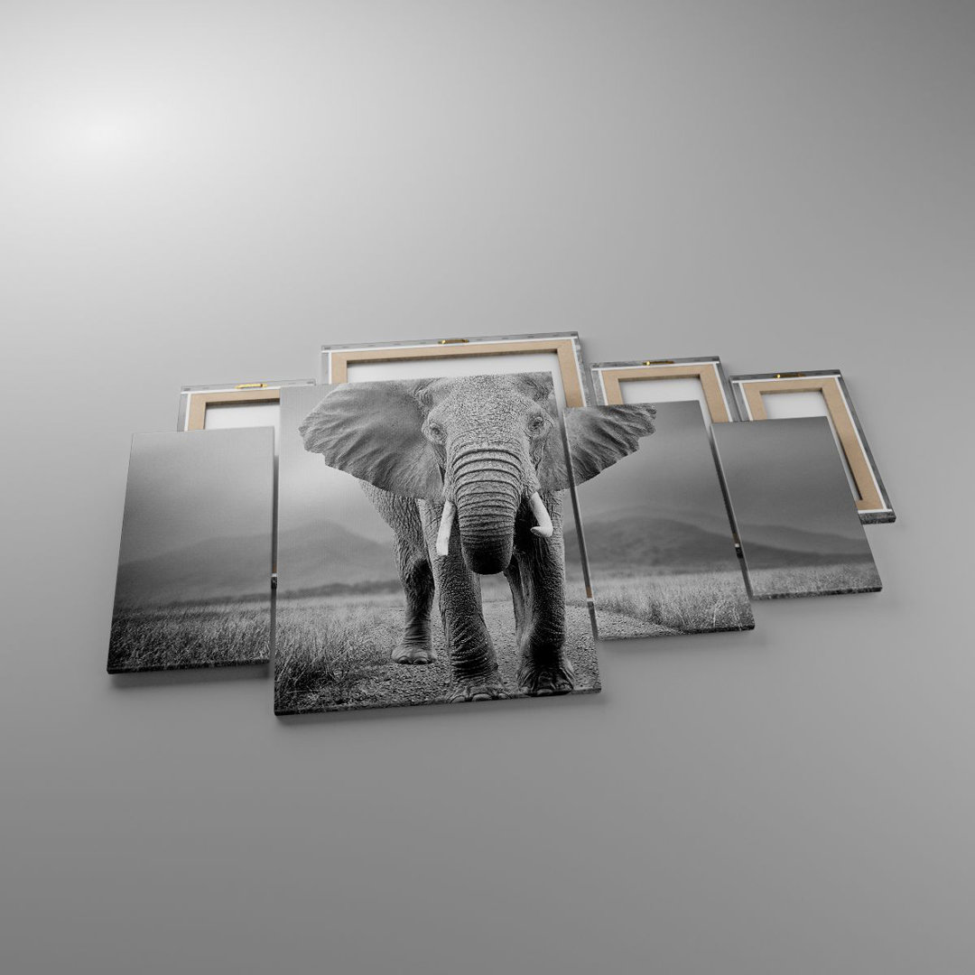 4-tlg. Leinwandbilder-Set Elephant Wildness Nature