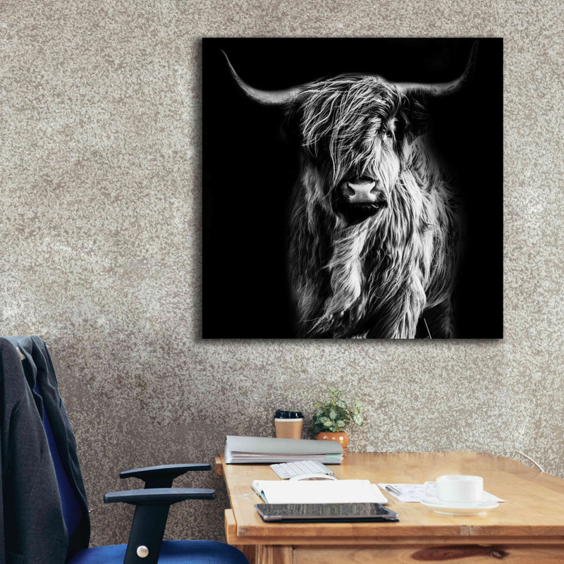 Union Rustic «Hippy Highland Cow» par Epic Portfolio, estampe numérique sur toile, H 37 po x l 37 po x P 1,5 po