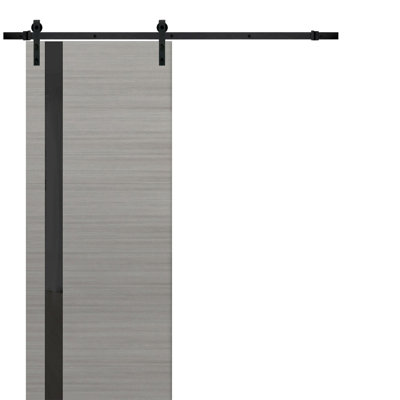 Planum Frosted Glass Paneled Wood Barn Door with Installation Hardware Kit