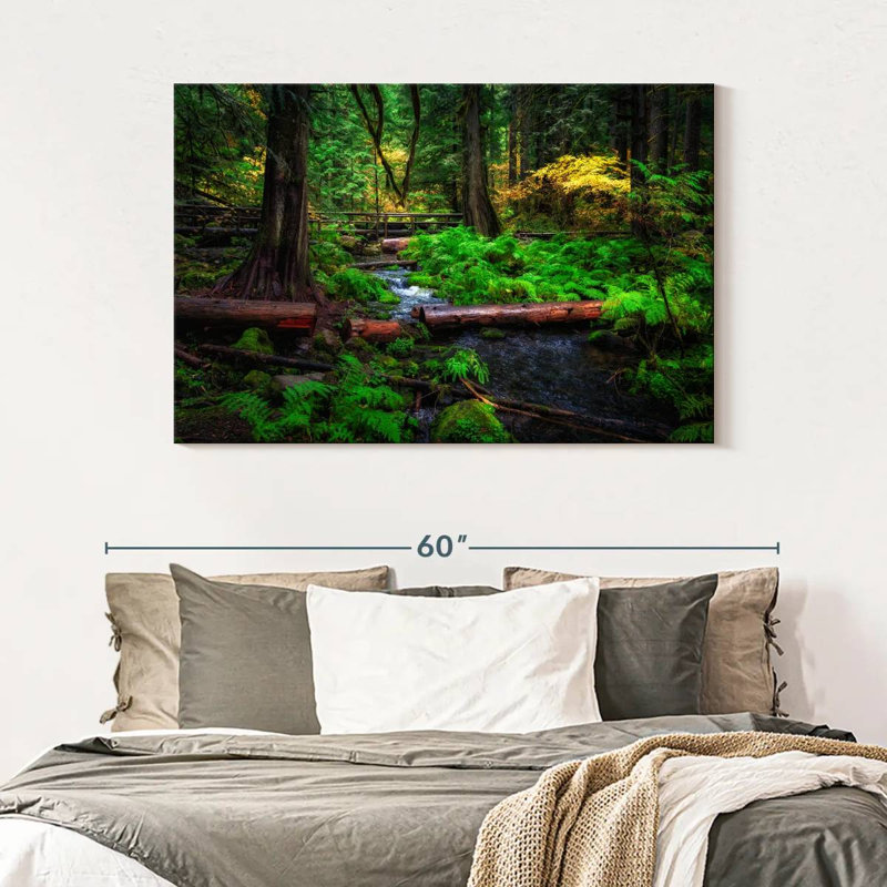 Ruisseau Alvord Willamette National Forest, H 32 po x l 48 po