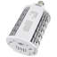 30 Watt White LED Bulb