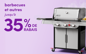 barbecues et autres en solde