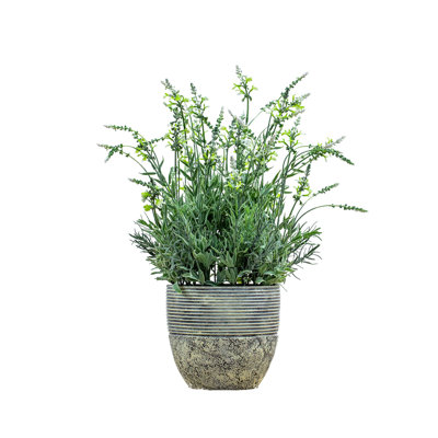 Polyethylene (PE) Lavender Arrangement in Pot