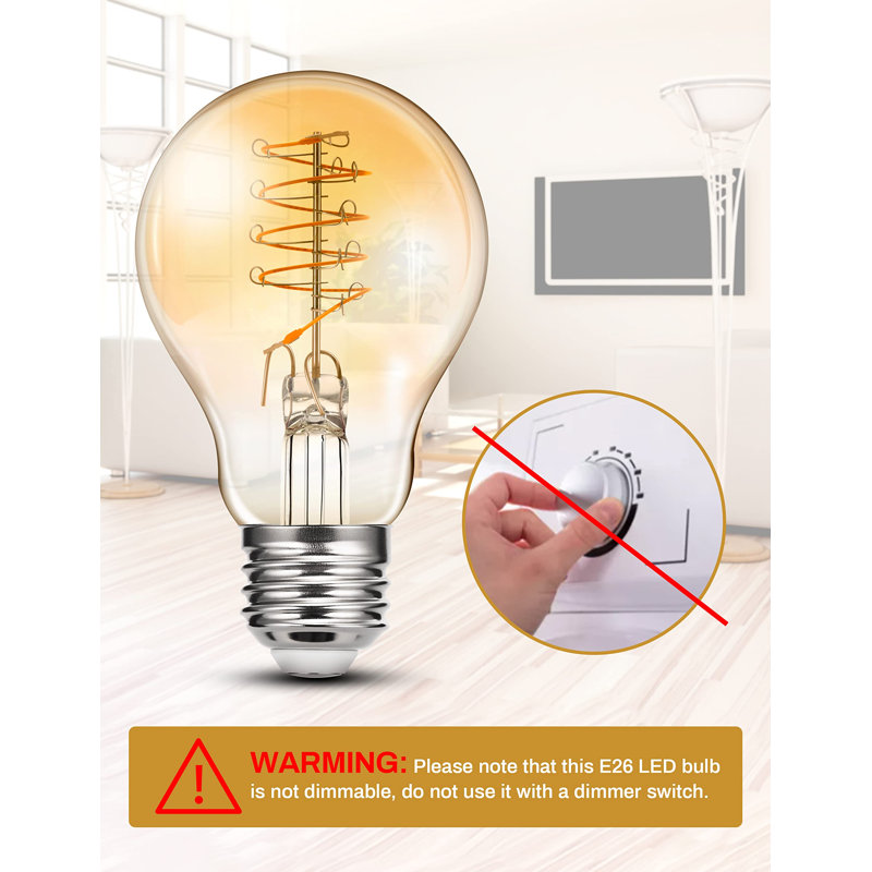 Ampoule à filament rétro DEL festive de 60 watts avec ampoule A19 4W