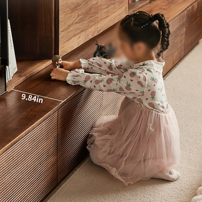 Japanese Style Display Bookcase