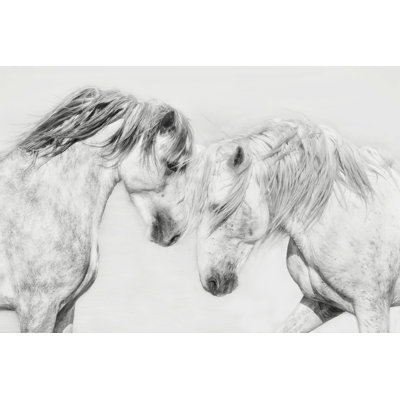 " Equine Portrait I " by PHBurchett