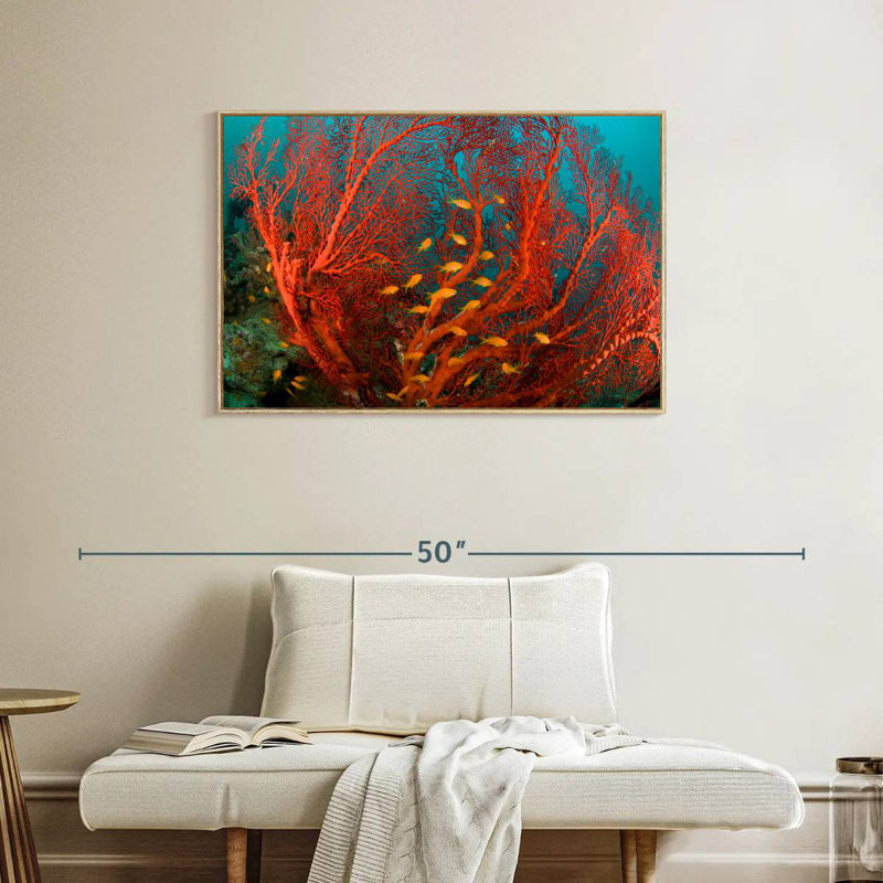 Corail de feu, Cadre flottant en bois naturel, 37 po x 25 po