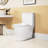 1.1/1.6 Toilet, Ceramic White, Elongated Comfort Height, & , Dependable Close Seat T039wt Steadfastly
