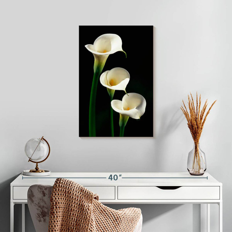 Harnek Three White Calla Lilies, 24" H x 16" W