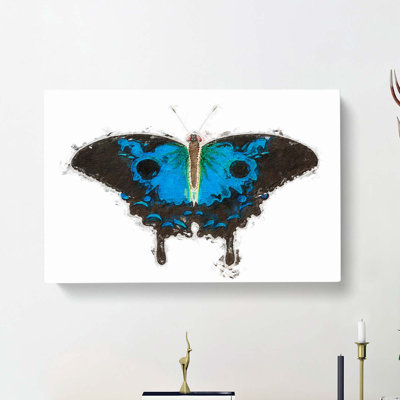 Ulysses Butterfly by George Shaw - Wrapped Canvas