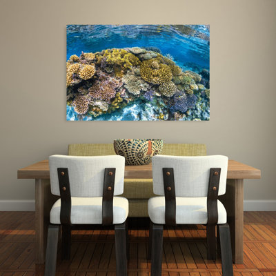 Impression murale Panoreef Ocean Tropical