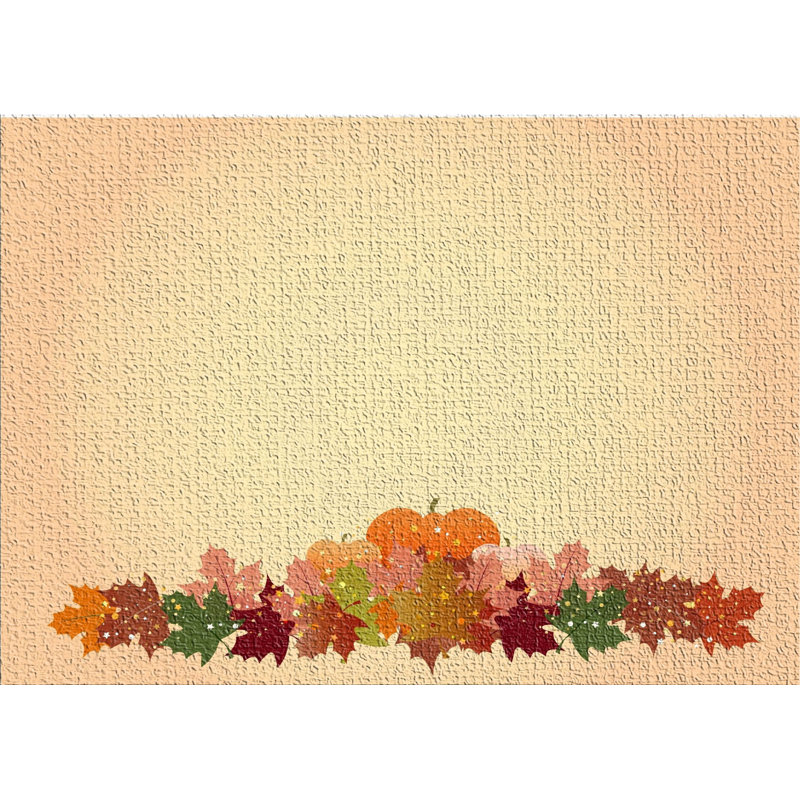 Performance Cotton Indoor Rug, Rectangle 5' x 7'