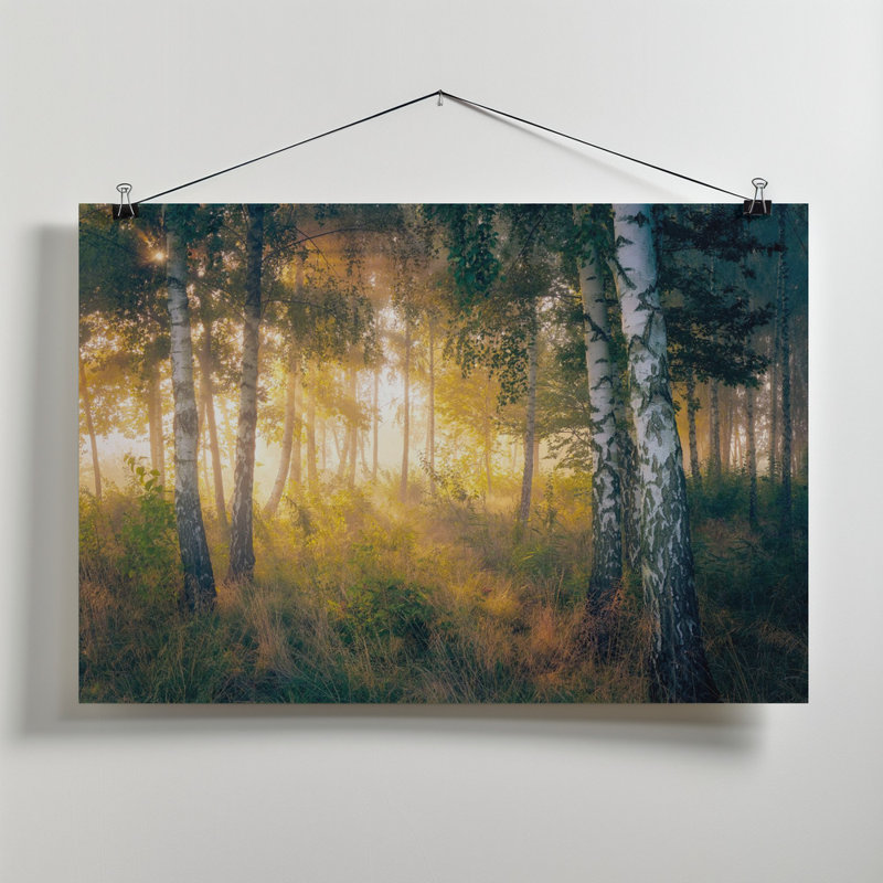 In the forest, 50.8 cm H x 76.2 cm W