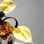 Ornements de fleurs simulées