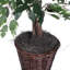 Série de ficus artificiels panachés-67117258