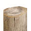 Petrified Solid Wood Tree Stump End Table