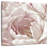 Harnek Intimate Blush II