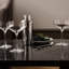 Grand Cru Stainless Steel Shaker
