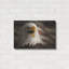 Art mural en métal Lark Manor ™ «Woodgrain Antiques Bald Eagle 3» par Gordon Semmens-1983667570
