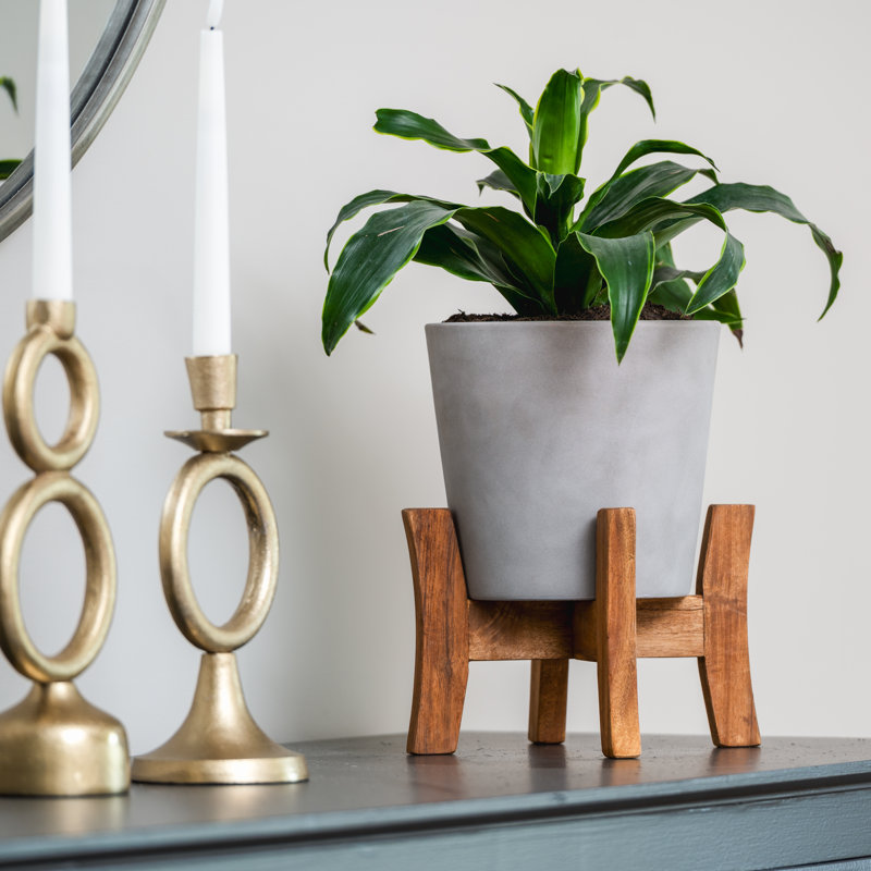 Jardinière contemporaine de 8 pouces avec support, Gris